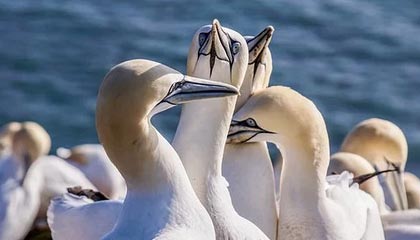 九游APP官网-强强对话！两支顶尖球队交手，火爆一触即发，两支相同风格的球队交锋,会更加精彩